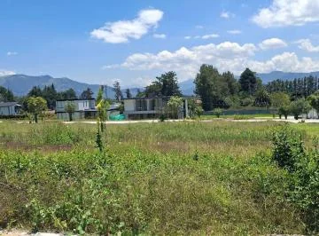 Terreno - Puembo — imagen 3