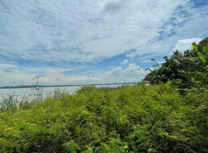 Local de Alquiler o Venta en Puerto Santa, Guayas — imagen 1