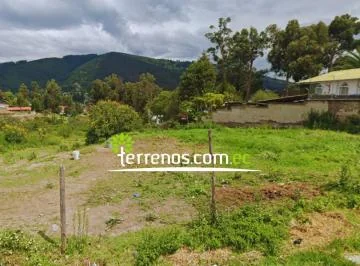 Terreno de 4.088 m² de Venta Sector Mirasierra, Alangasi — imagen 2