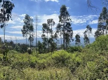 Terreno Ubicado Dentro de Urbanización Cerrada en Nayón. Vista, Seguridad — imagen 3