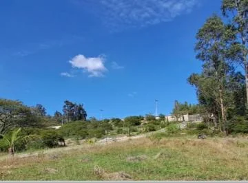Terreno de Venta Ilalo 2.579 m $387.00 — imagen 4