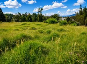 Terreno en Venta 4950 m² en La Macarena Alta. con Construcción y Vista Privilegiada — imagen 5