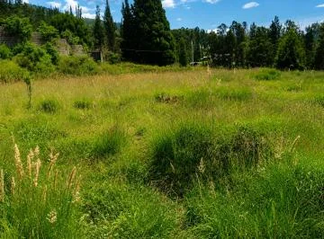 Terreno en Venta 4950 m² en La Macarena Alta. con Construcción y Vista Privilegiada — imagen 4