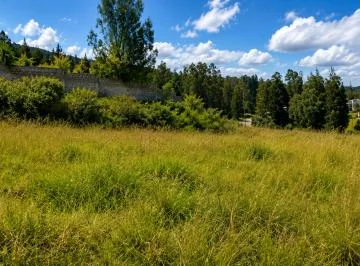 Terreno en Venta 4950 m² en La Macarena Alta. con Construcción y Vista Privilegiada — imagen 3