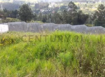 Terreno de Venta Conocoto — imagen 4