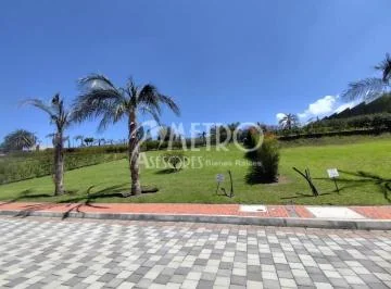 Terreno en Venta de 544 m² en Puembo — imagen 5
