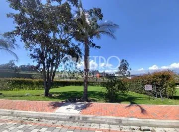 Terreno en Venta de 544 m² en Puembo — imagen 2