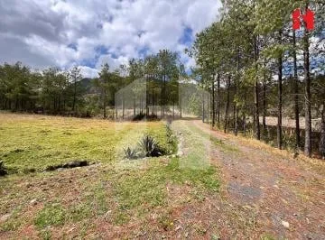 Vendo Terreno en Cuenca Sector Nulti - Virgen Pamba (St3655), Azuay — imagen 5