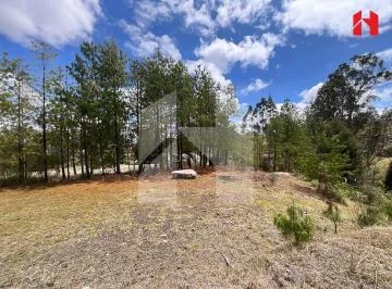 Vendo Terreno en Cuenca Sector Nulti - Virgen Pamba (St3655), Azuay — imagen 4