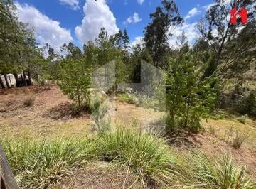 Vendo Terreno en Cuenca Sector Nulti - Virgen Pamba (St3655), Azuay — imagen 2
