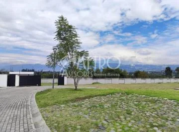 Terreno en Venta 960 m² en Hilacril - Tumbaco — imagen 2