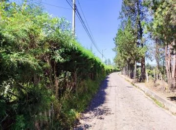 Vendo Terreno - Puembo de 9.077 m² Para Quintas Campestres — imagen 4
