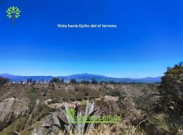 Vendo Terreno - Puembo de 9.077 m² Para Quintas Campestres — imagen 3