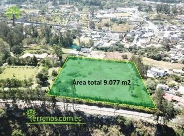 Vendo Terreno - Puembo de 9.077 m² Para Quintas Campestres — imagen 2