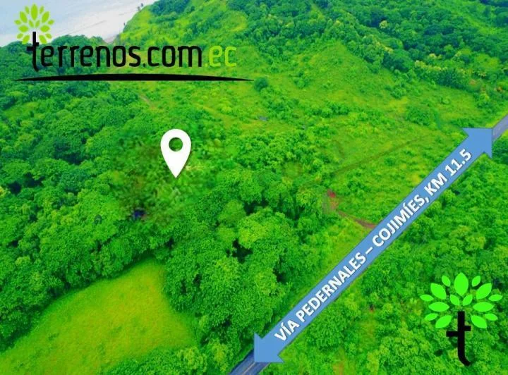 Terreno de Venta en Vía Cojimíes 6.300 m², Sector Surrones, Manabí — imagen 1