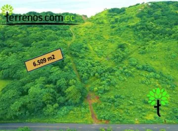 Terreno de Venta en Vía Cojimíes 6.300 m², Sector Surrones, Manabí — imagen 5