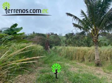 Terreno de Venta en Vía Cojimíes 6.300 m², Sector Surrones, Manabí — imagen 4
