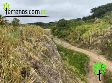 Terreno de Venta en Vía Cojimíes 6.300 m², Sector Surrones, Manabí — imagen 3