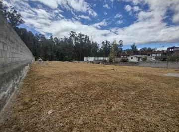 Terreno Plano 2.231 m² con Cerramiento, Conocoto — imagen 5