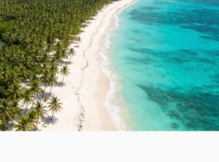 Terreno Paradisíaco en Pedernales 97.543 m², con Acceso Al Mar, Amplia Playa, Manabí — imagen 1