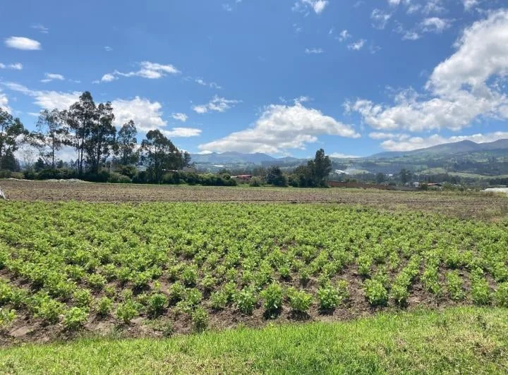 Venta de Terreno en Tababela, Muy Bien Ubicado Pr — imagen 1