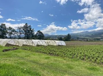 Venta de Terreno en Tababela, Muy Bien Ubicado Pr — imagen 5