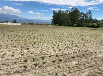 Venta de Terreno en Tababela, Muy Bien Ubicado Pr — imagen 4