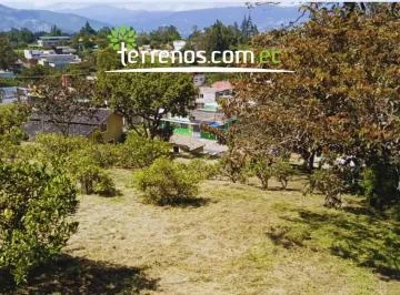 Julio Tobar Donoso y Humerto Duque — imagen 3