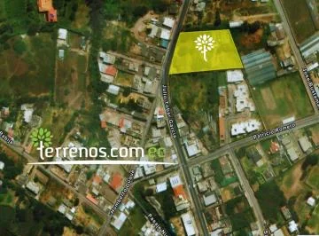 Julio Tobar Donoso y Humerto Duque — imagen 2
