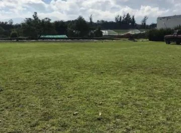 Vendo Precioso Terreno en Puembo Urbanizado con Electricidad Agua y Al a Tarillado con Casa de Cuida — imagen 5