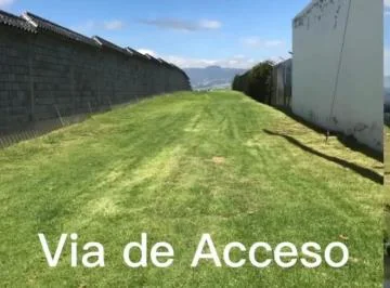 Vendo Precioso Terreno en Puembo Urbanizado con Electricidad Agua y Al a Tarillado con Casa de Cuida — imagen 3