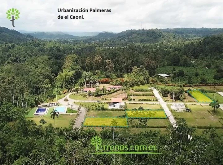 Venta de Terreno 625 m² Urbanización Palmeras de El Caoni, Puerto Quito. Provincia de Pichincha — imagen 1