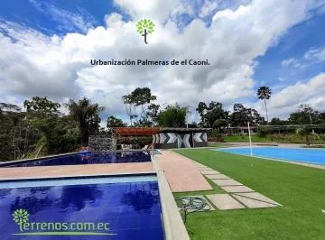 Venta de Terreno 625 m² Urbanización Palmeras de El Caoni, Puerto Quito. Provincia de Pichincha — imagen 5