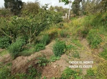 Terreno en Venta 1000 m Montalvo - Ambato, Tungurahua — imagen 5