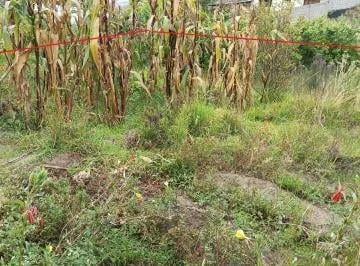 Terreno en Venta 1000 m Montalvo - Ambato, Tungurahua — imagen 4