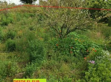 Terreno en Venta 1000 m Montalvo - Ambato, Tungurahua — imagen 2