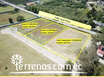 Terreno Unifamiliar en Venta 2599,8 m². Tumbaco. Provincia de Pichincha — imagen 5