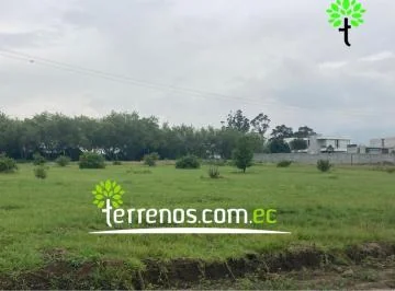 Terreno Unifamiliar en Venta 2599,8 m². Tumbaco. Provincia de Pichincha — imagen 4