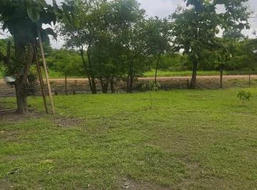 Venta 30 Has Km. 24 Chongon - daular (Colinda con Terreno del Futuro Nuevo Aeropuerto - Guayaquil), Guayas — imagen 5