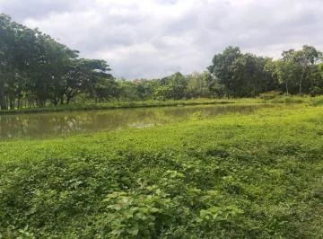 Venta 30 Has Km. 24 Chongon - daular (Colinda con Terreno del Futuro Nuevo Aeropuerto - Guayaquil), Guayas — imagen 3
