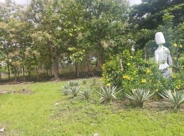 Venta 30 Has Km. 24 Chongon - daular (Colinda con Terreno del Futuro Nuevo Aeropuerto - Guayaquil), Guayas — imagen 2