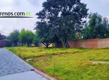 Terreno de Venta en Puembo 600 m² Urbanización O´cebreiro, Lote #2 — imagen 4