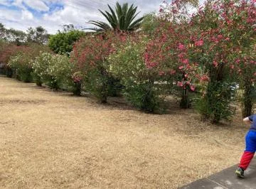 Terreno / Casa de Venta en Sector Valle de Los Chillos — imagen 5