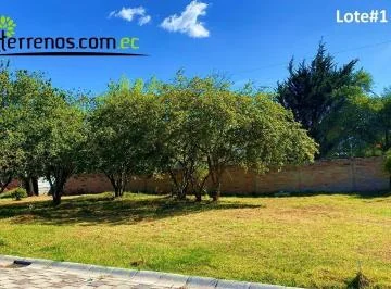 Terreno de Venta en Puembo 600 m² Urbanización O´cebreiro, Lote #1 — imagen 2