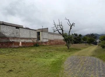 Mcl Venta Terreno - Tumbaco - Av Universitaria - Villa Vega — imagen 3