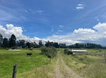 Vendo Propiedad Para Urbanización — imagen 4