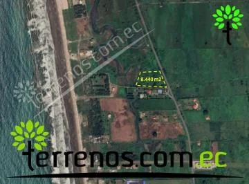 Terreno en Terreno de Venta en Cojimíes 8.440 m², Vía Pedernales - Cojimíes, Manabí — imagen 5