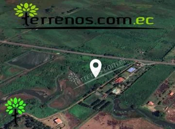 Terreno en Terreno de Venta en Cojimíes 8.440 m², Vía Pedernales - Cojimíes, Manabí — imagen 2