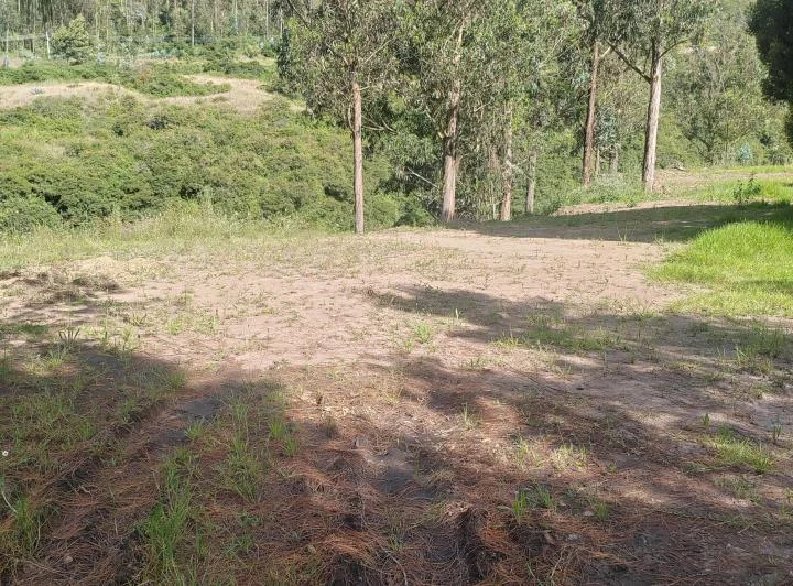 Vendo Bonito Terreno Comunal en Tumbaco Sector Guagrahuma — imagen 1