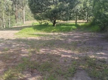 Vendo Bonito Terreno Comunal en Tumbaco Sector Guagrahuma — imagen 5